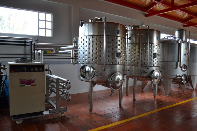 cave-UTELLE-min_wine_production_cantine_winery_drink_alcohol_vine_beverage-902036